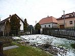 Třibřichy